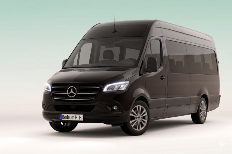 VIP Sprinter