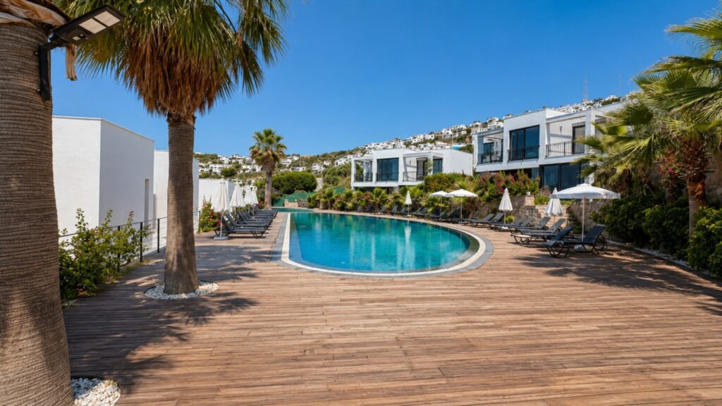 Shared Pool 1